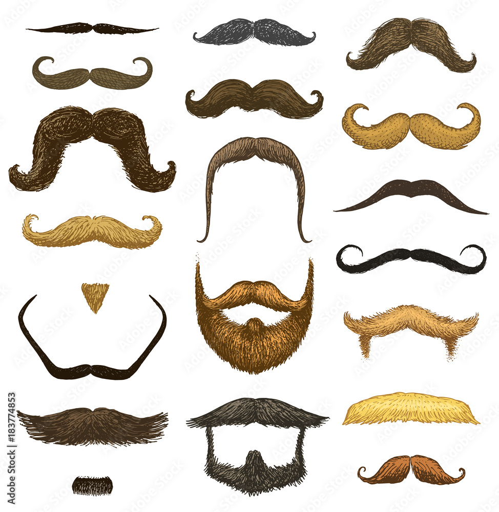 Beard Svg Printable Pdf Picture Beard Picture Svg Clipart Clipart Svg