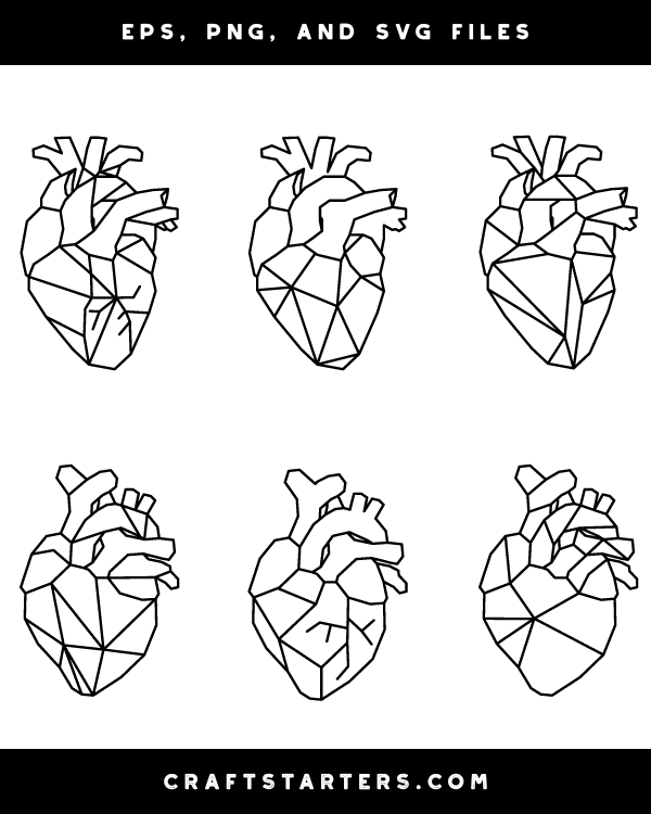 Human Heart Royalty Free Vector Clip Art Illustration Vc