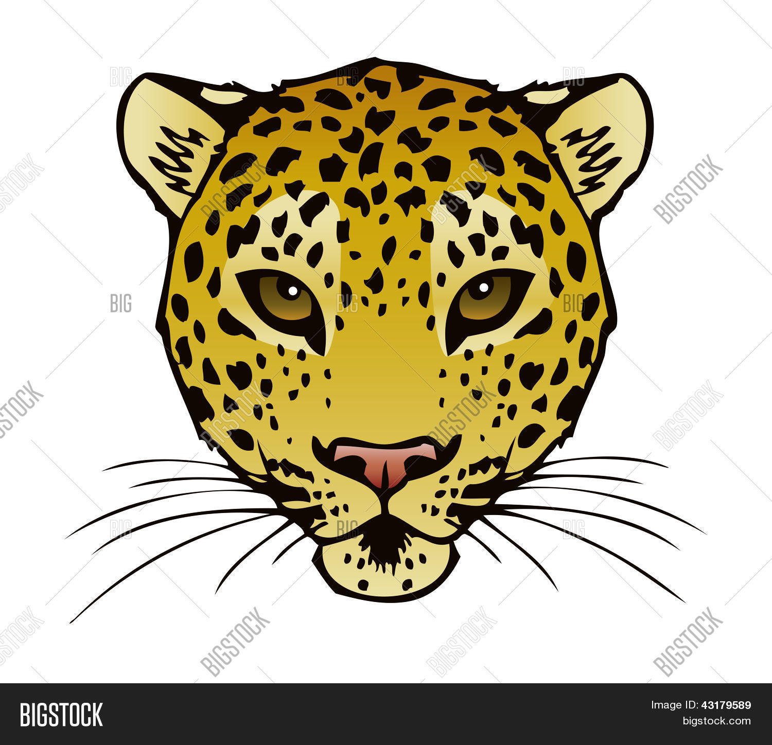 Leopard Head Vector Photo Free Trial Bigstock Clip Art Library