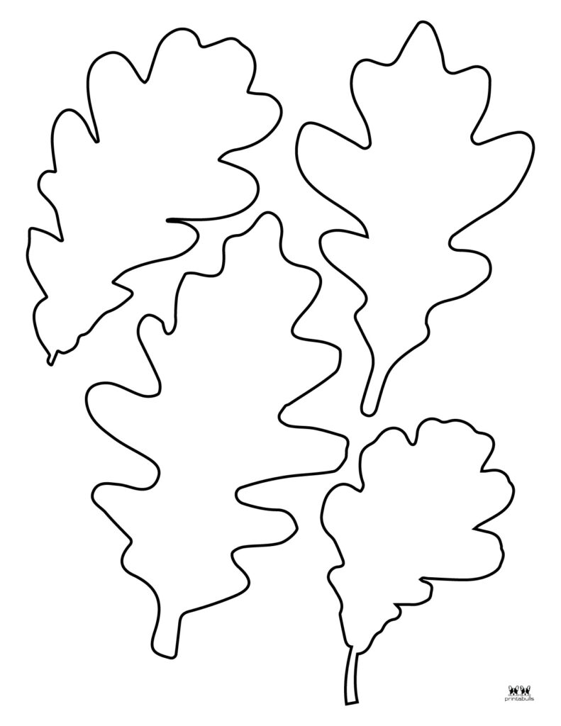 Leaf Outlines Templates Coloring Pages 55 FREE Pages Clip