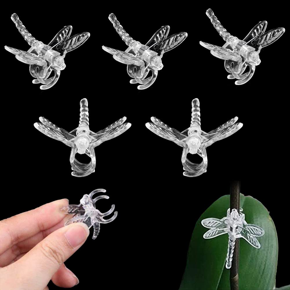 Amazon Watris Veiyi 100Pcs Plant Orchid Clips Garden Plant