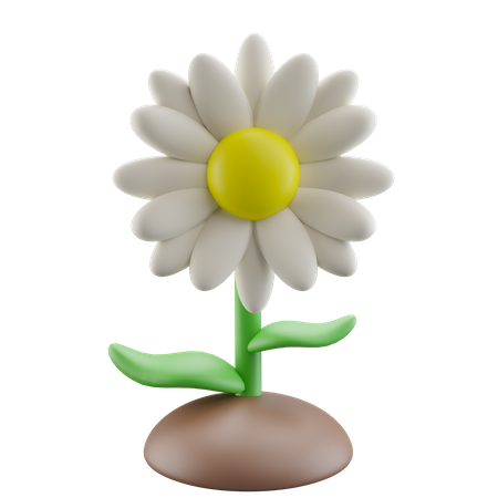 1,714 Daisy Flower 3D Illustrations - Free in PNG, BLEND, FBX ...