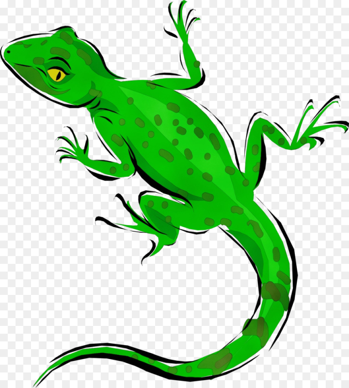 Free clip a reptile, Download Free clip a reptile png images, Free ...