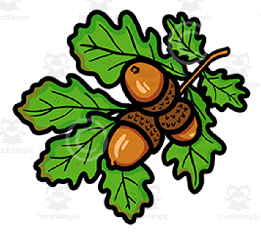 Oak branch with acorns clipart-Autumn graphics illustration clip art ...