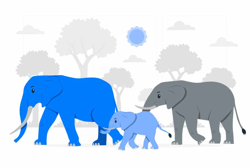 How Do Animals Adapt to Their Environment - EuroSchool - Clip Art Library