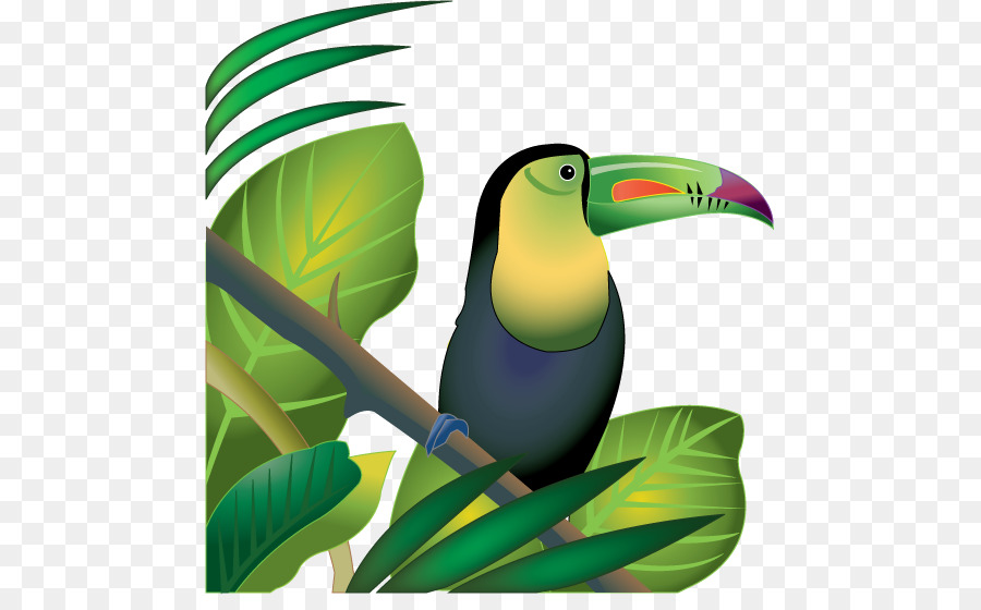 Amazon Rainforest - Jungle Cartoon - CleanPNG / KissPNG - Clip Art Library