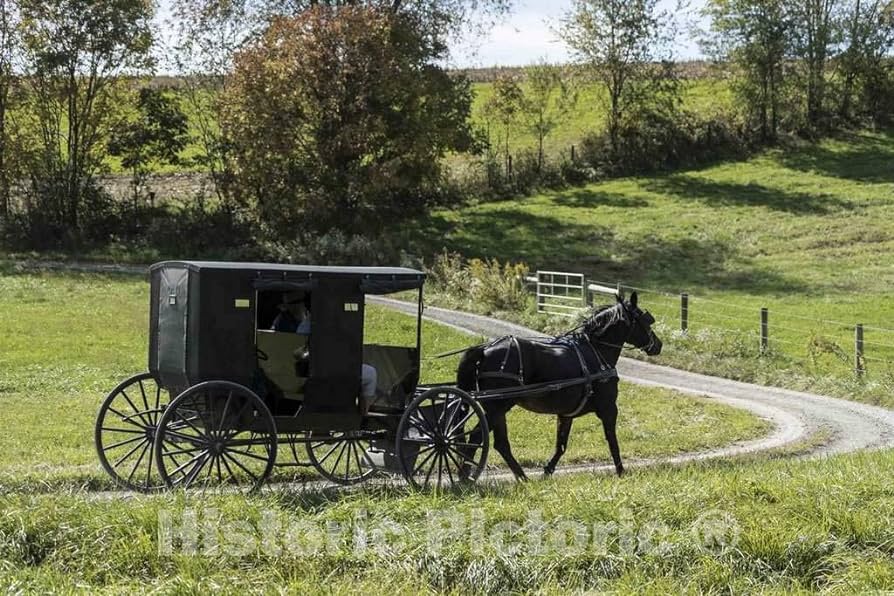 Free clip amish horse and buggy, Download Free clip amish horse and ...