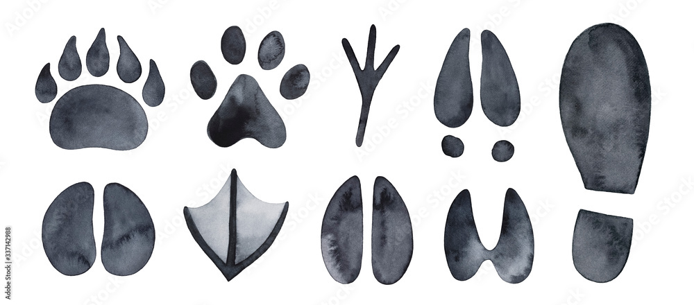 Free clip animal tracks, Download Free clip animal tracks png images ...