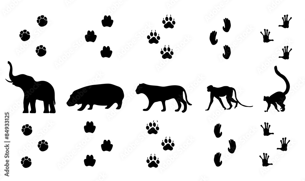 Free clip animal tracks, Download Free clip animal tracks png images ...