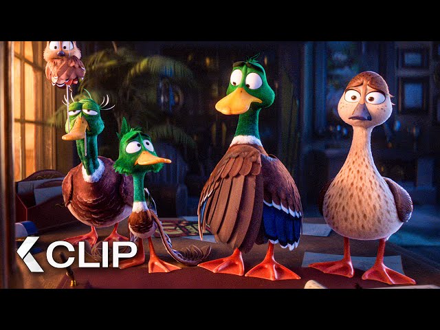 Migration Movie Clip Duck A Lorange 2023 Youtube Clip Art Library