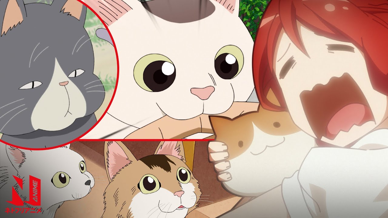 Iconic Anime Cats | Anime Music Video | AMV | Netflix Anime - Clip Art ...