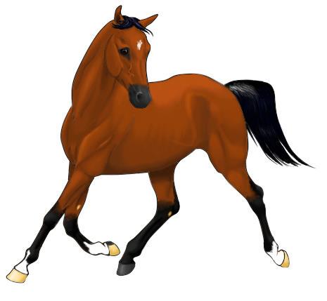 Free clip arabian horse, Download Free clip arabian horse png images ...