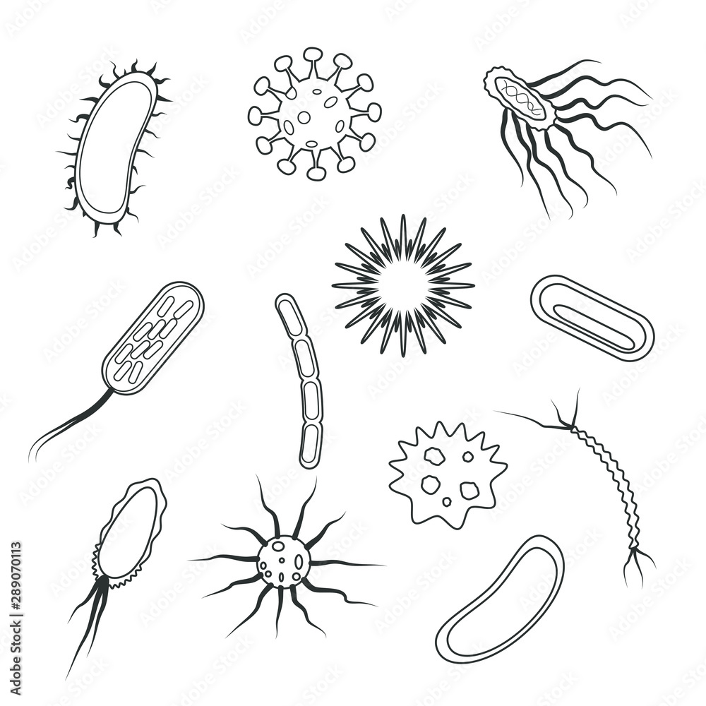 Free Clip Bacterias Download Free Clip Bacterias Png Images Free