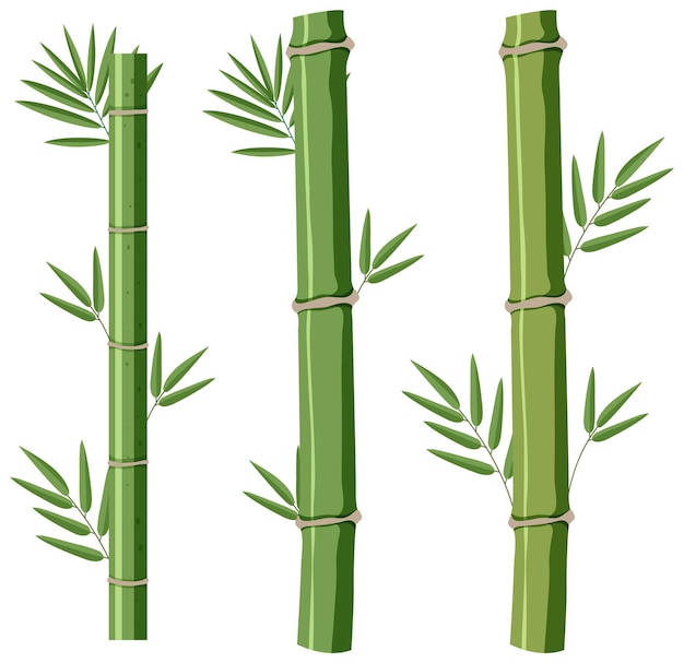 Free clip bamboos free, Download Free clip bamboos free png images ...