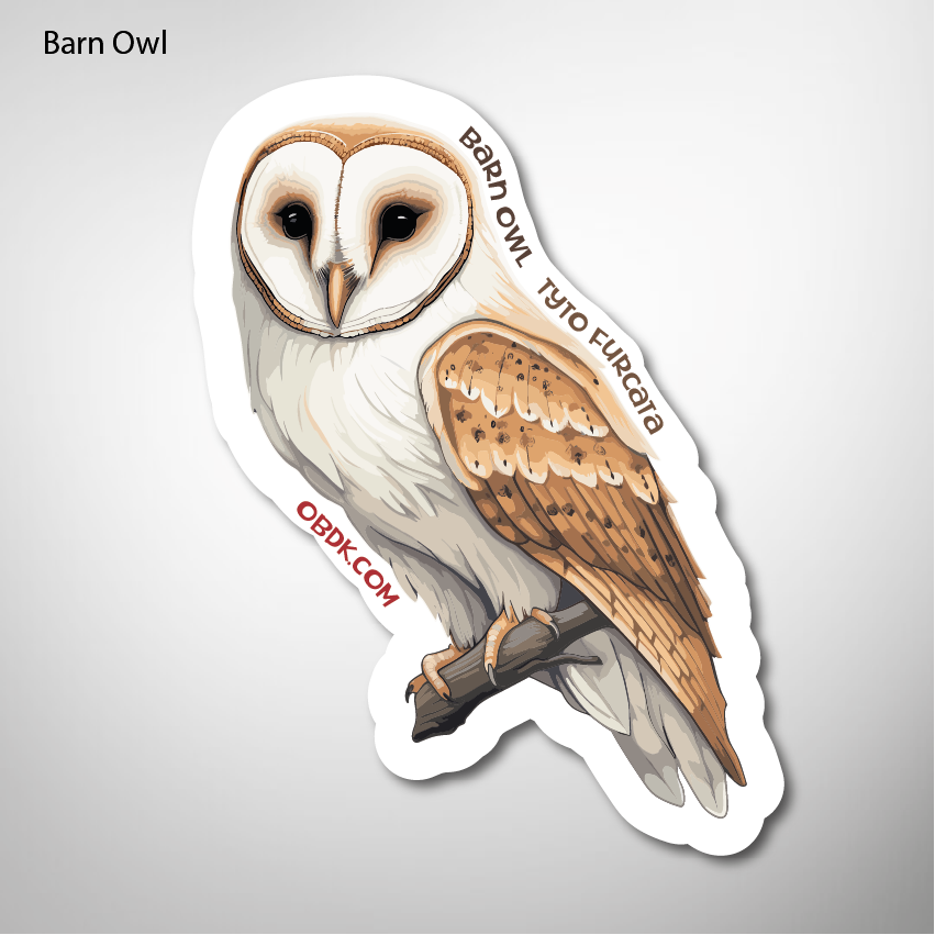 Free Clip Barn Owl Download Free Clip Barn Owl Png Images Free Cliparts On Clipart Library 8582