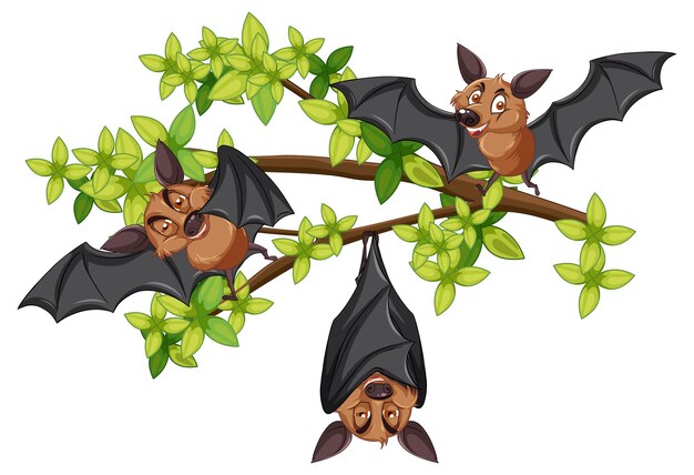 Free clip bats cartoon, Download Free clip bats cartoon png images ...