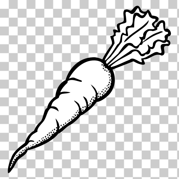 Free clip black and white carrot, Download Free clip black and white