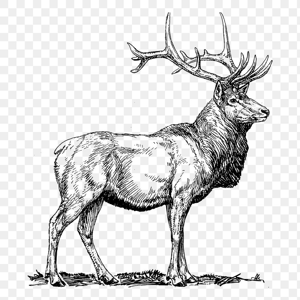Free clip black and white deer, Download Free clip black and white deer ...