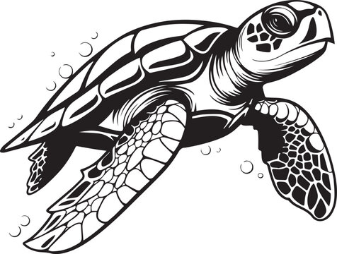 Turtle Clipart Images – Browse 14,413 Stock Photos, Vectors, and ...