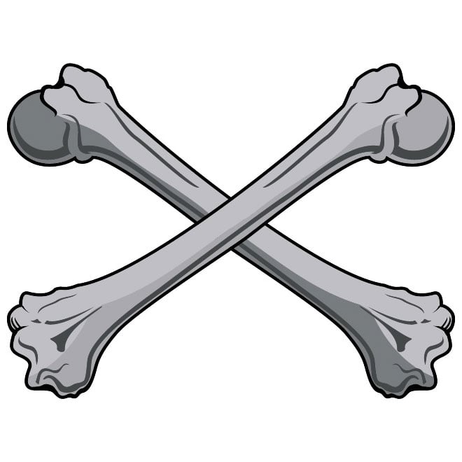 Free clip black bones, Download Free clip black bones png images, Free ...