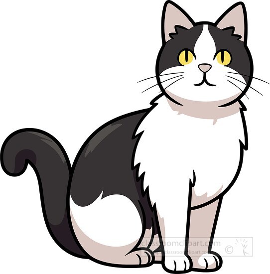 Cute Cat Vector Black And White Cartoon Character Design White ...