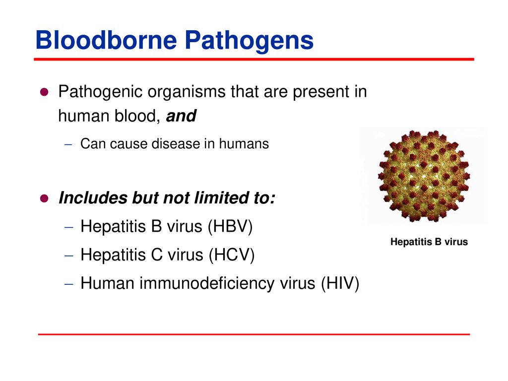 Bloodborne Pathogens. - ppt download - Clip Art Library