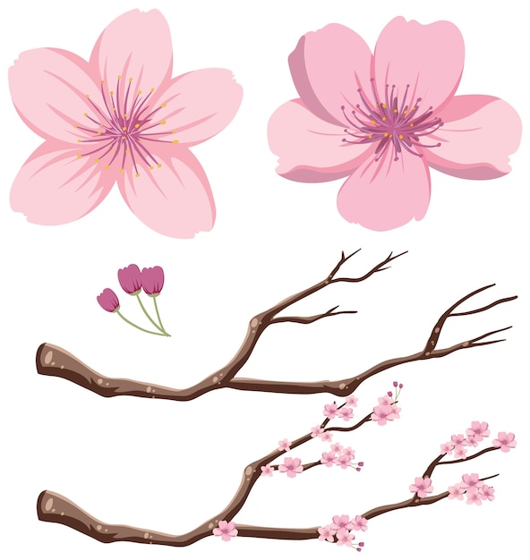 Free clip blossoms, Download Free clip blossoms png images, Free ...