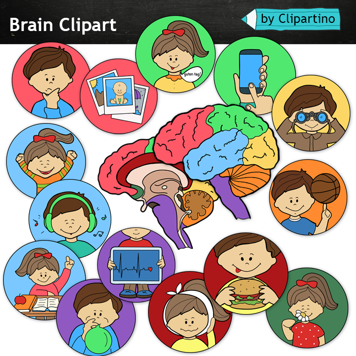 Free Clip Brain Works, Download Free Clip Brain Works Png Images, Free 