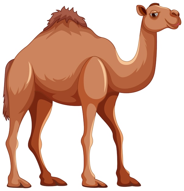 Free Clip Cartoon Camel, Download Free Clip Cartoon Camel Png Images ...