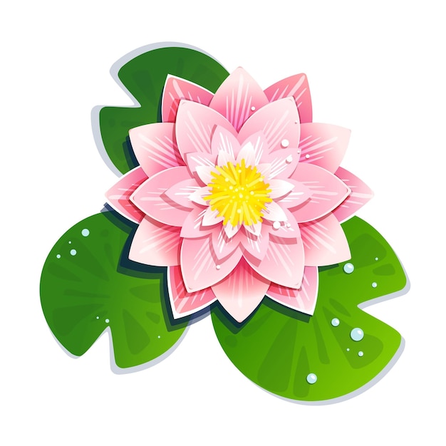 Free Clip Cartoon Lotus Flower Download Free Clip Cartoon Lotus Flower Png Images Free 4895