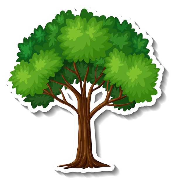 Cartoon Tree Images - Free Download on Freepik - Clip Art Library