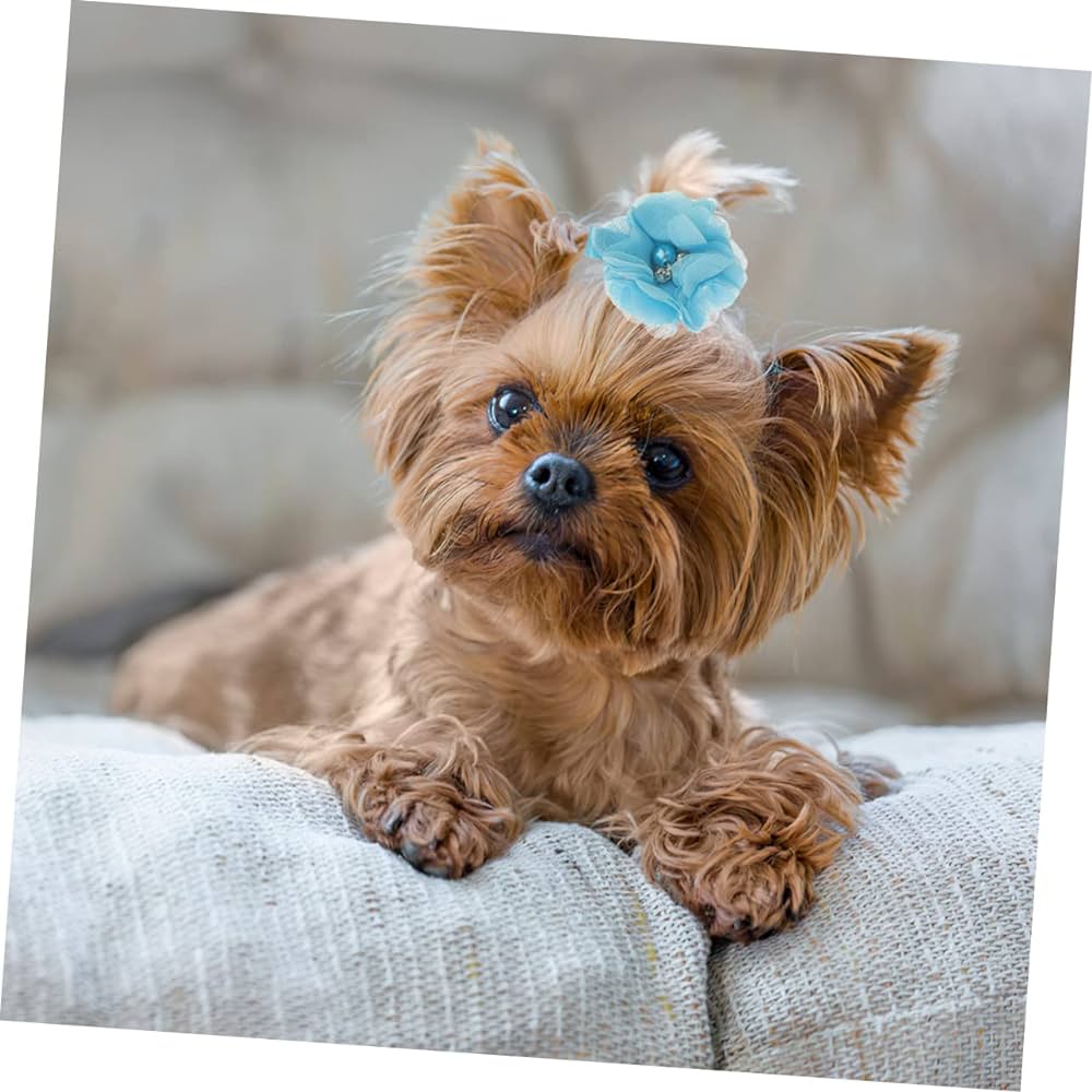 minkissy Pack of 36 Dog Bow Yorkie Hair Clips Dog Hair Clip Puppy Hair ...