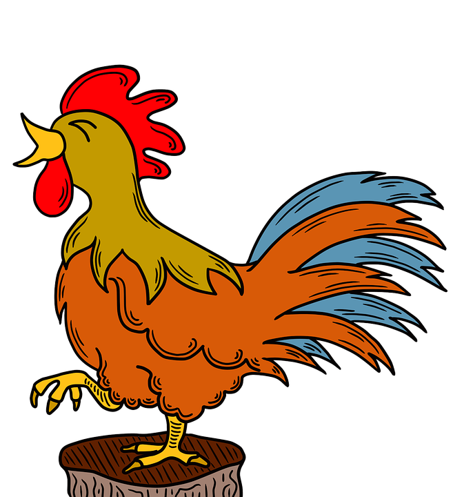 Free clip chicken cartoon, Download Free clip chicken cartoon png ...