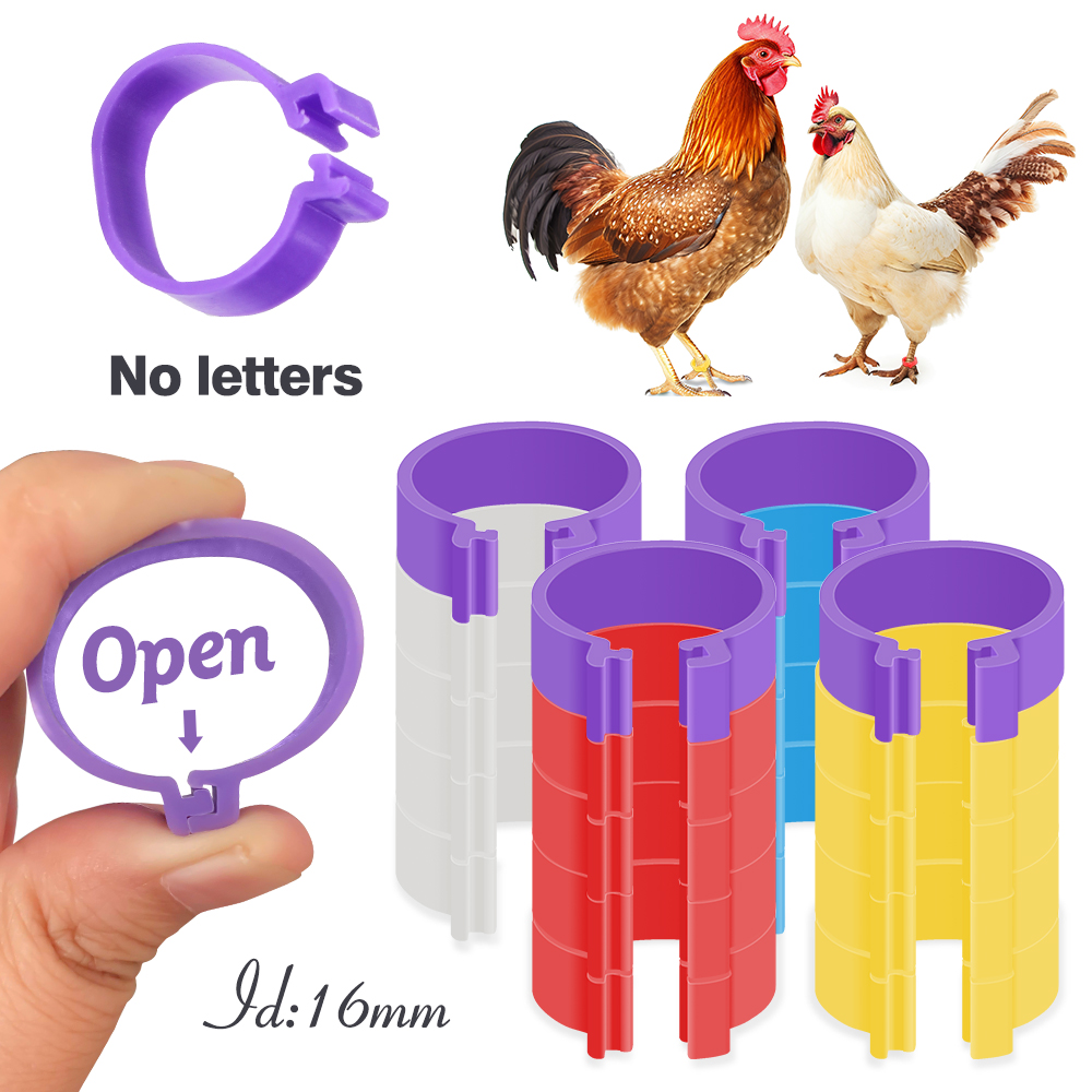 16mm Chicken Foot Ring 6 Colors Without Text Poultry ... - Clip Art Library