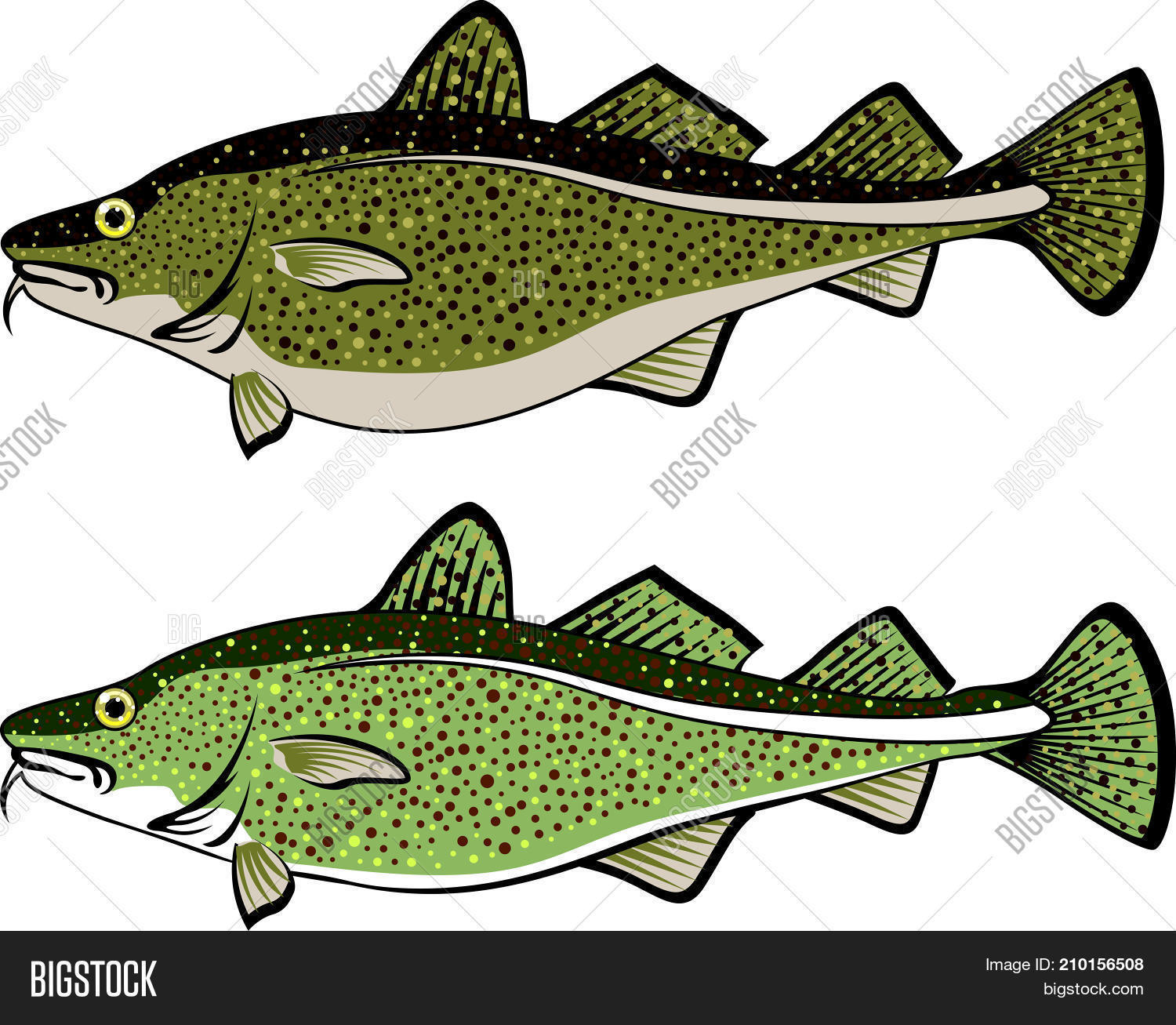 Free clip cod fish, Download Free clip cod fish png images, Free ...