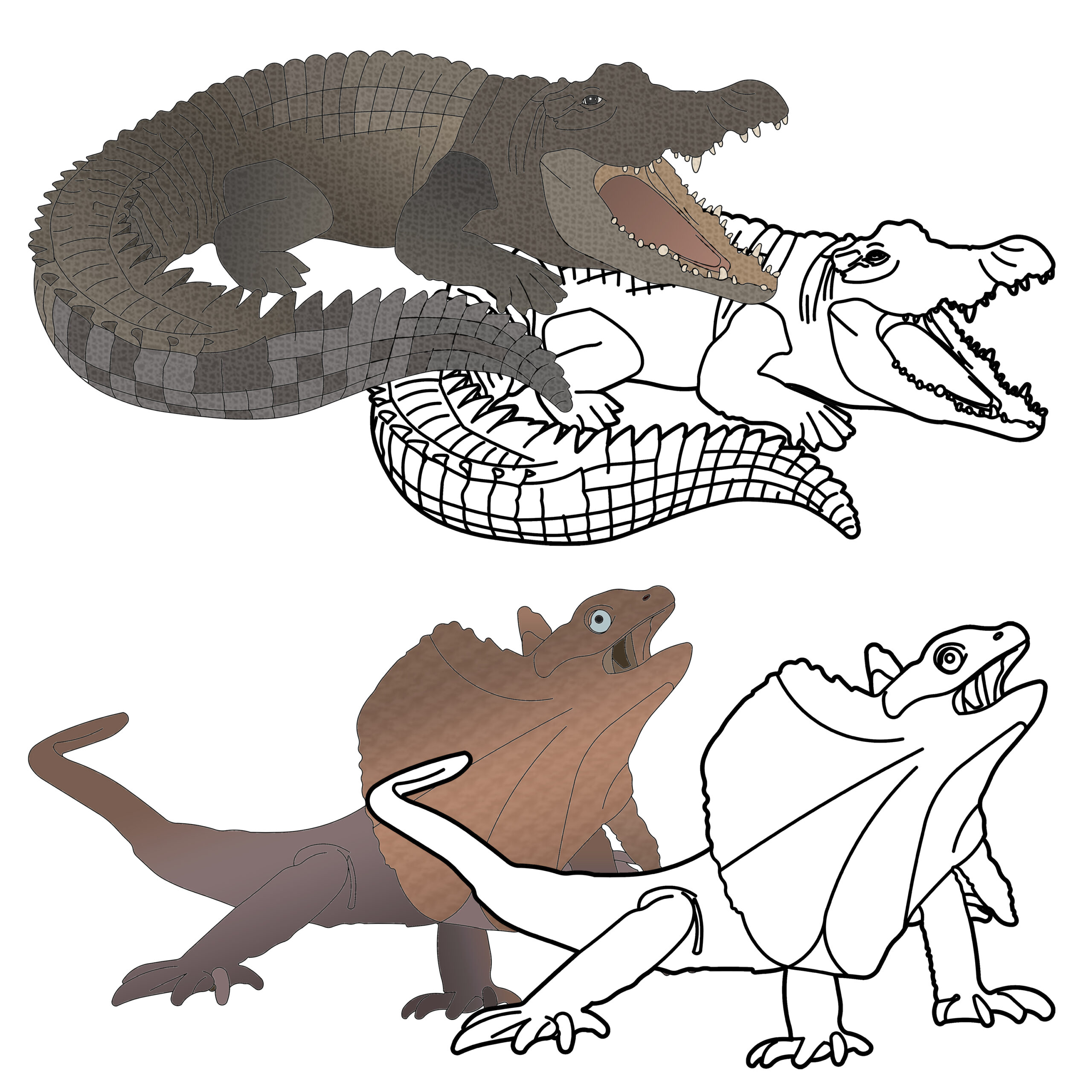 Reptiles Realistic Clipart Cold Blooded Vertebrates Animals Clip