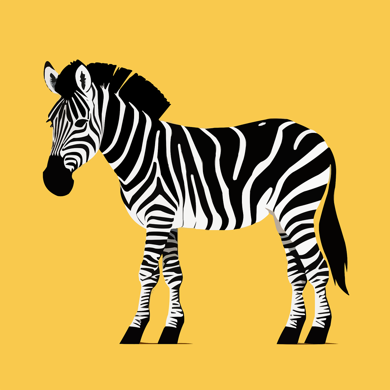 Free clip cool zebra backgrounds, Download Free clip cool zebra ...