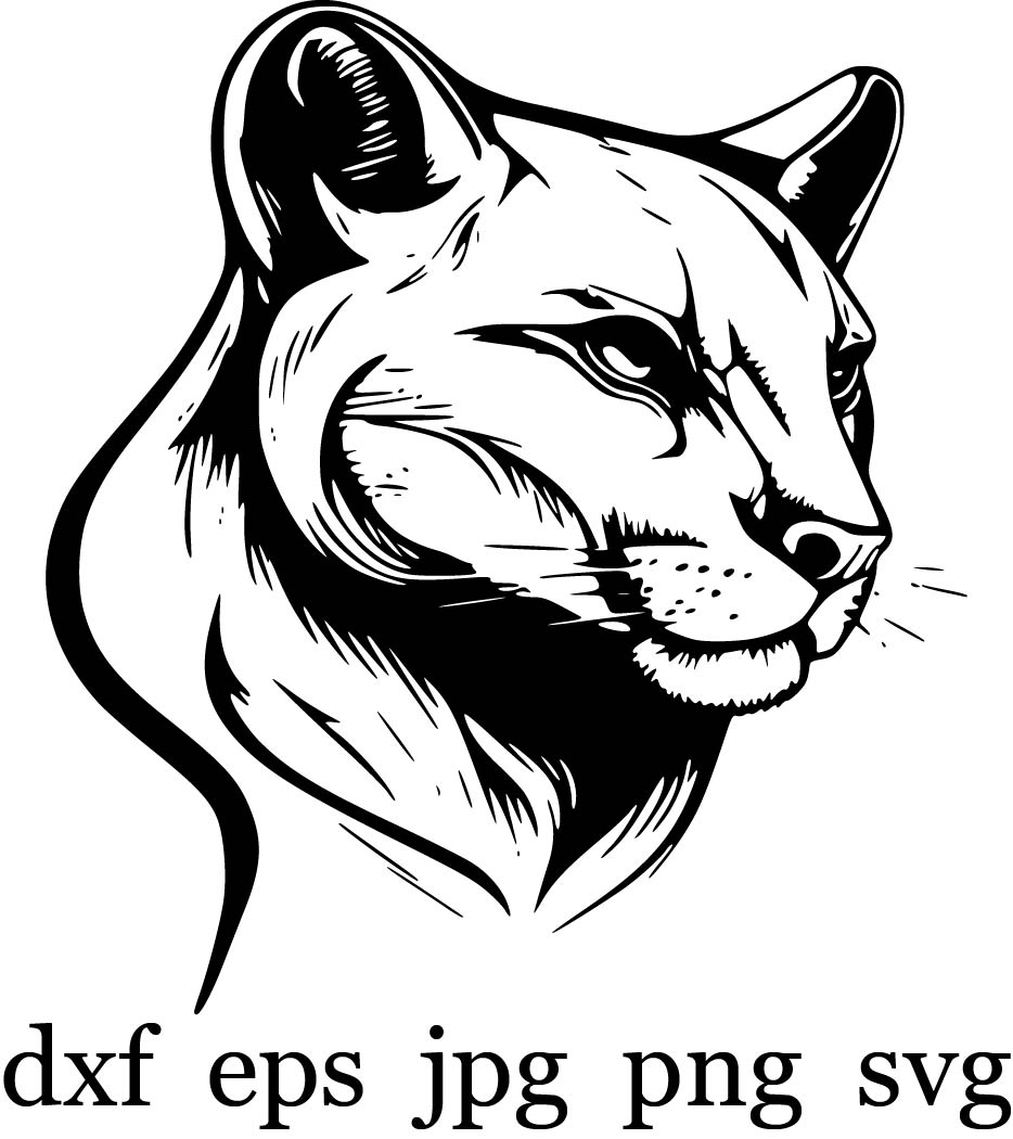 Free clip cougar heads, Download Free clip cougar heads png images ...