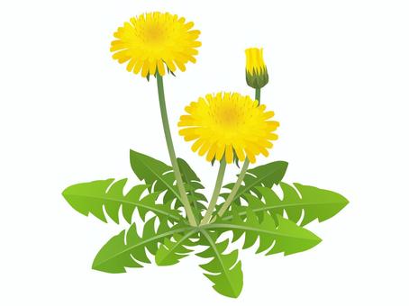 Free clip dandelions, Download Free clip dandelions png images, Free ...