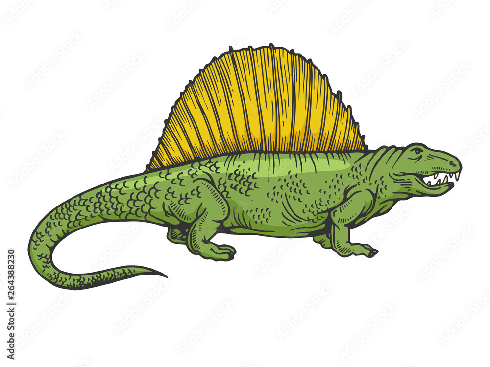 Dimetrodon dinosaur prehistoric extinct animal color sketch ... - Clip ...