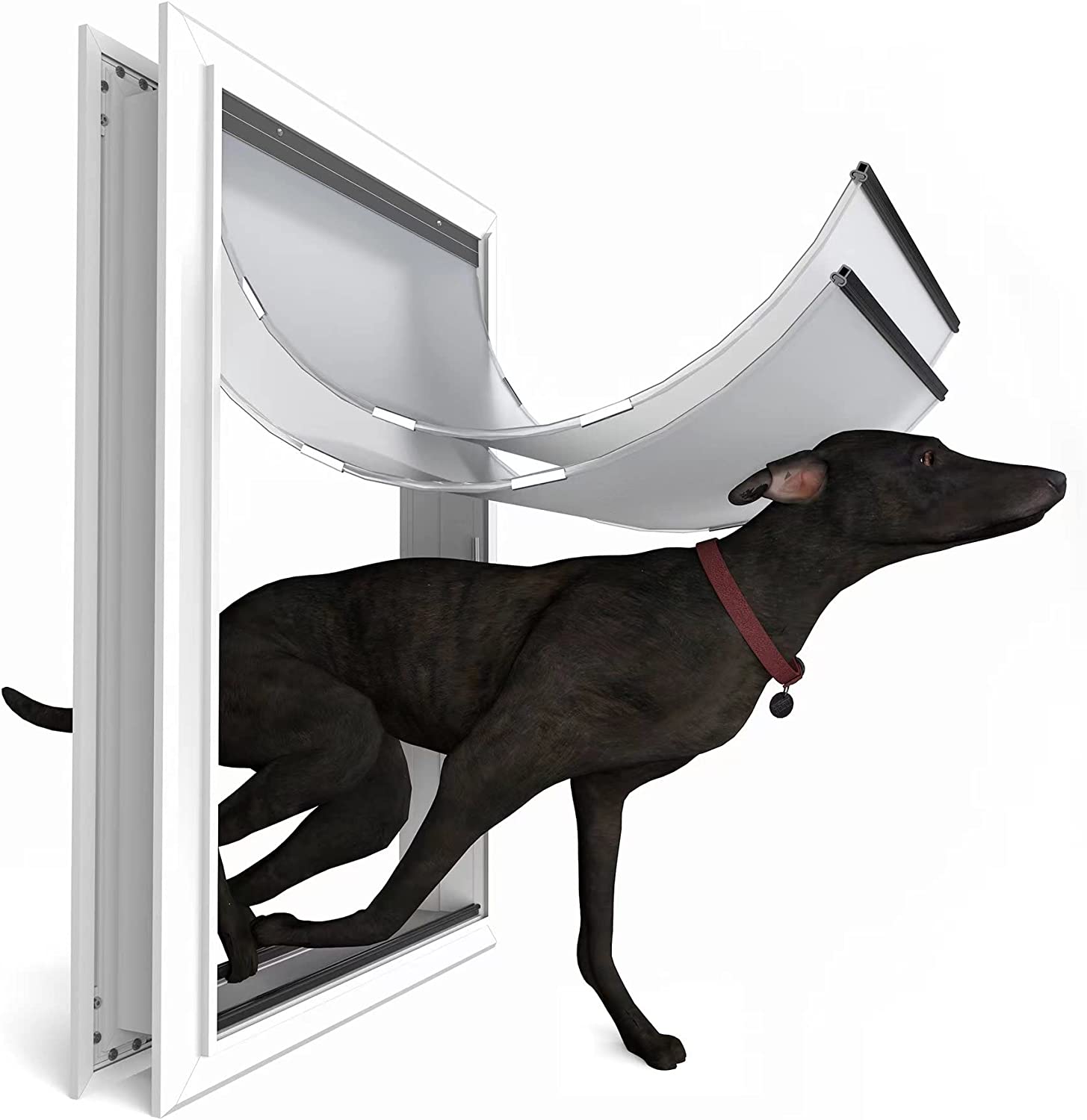 Free clip dogs doors, Download Free clip dogs doors png images, Free ...