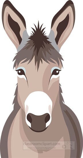 Donkey Clipart-donkey front view clip art - Clip Art Library