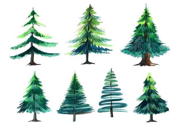 Free clip douglas fir tree, Download Free clip douglas fir tree png ...