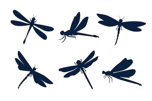 dragonfly illustration vector free download