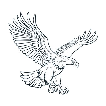 Clip Art Heraldry Eagle | yavu.de - Clip Art Library