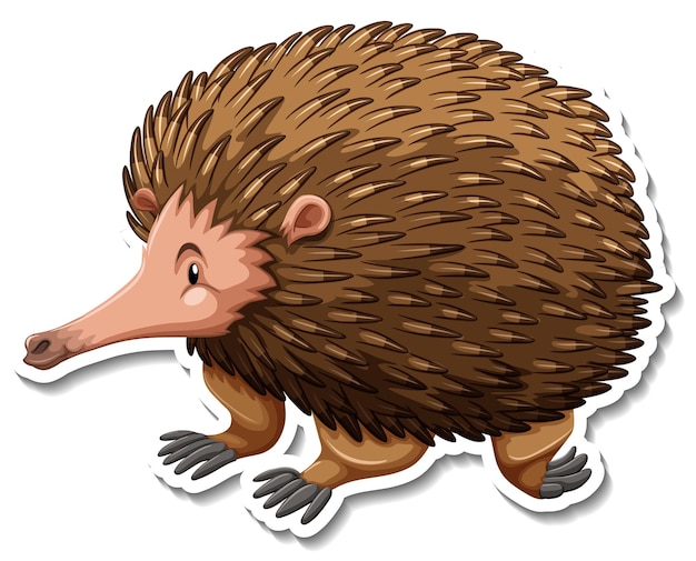 Free clip echidna, Download Free clip echidna png images, Free ClipArts ...