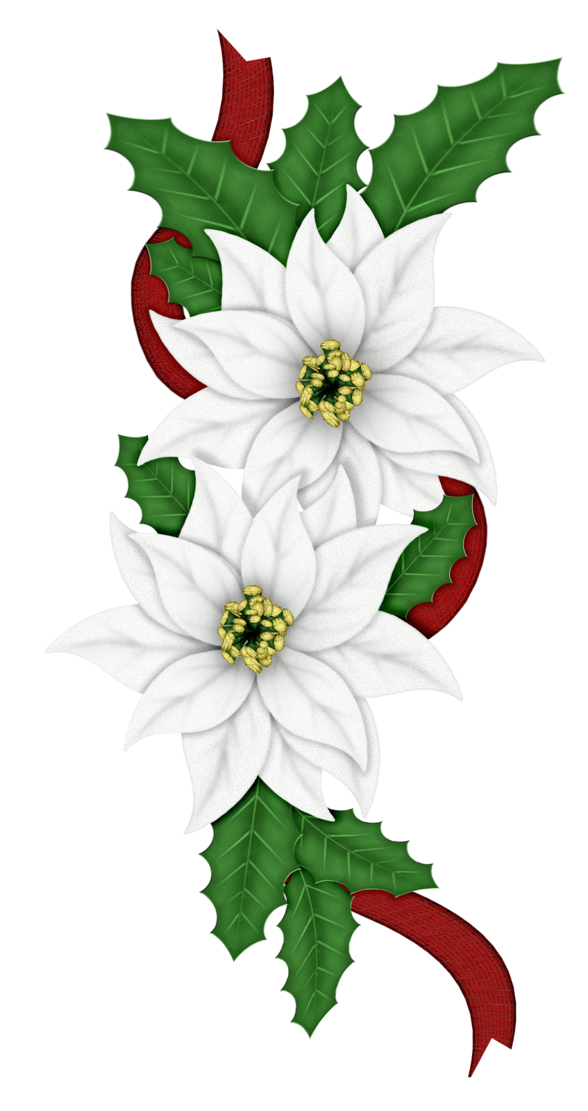 Edelweiss Alpine Flowers Line Stock Vector Royalty Free Clip Art
