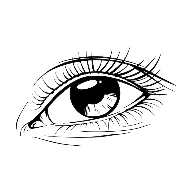 Premium Vector | Beautiful hand drawn sketch eye vector ... - Clip Art ...