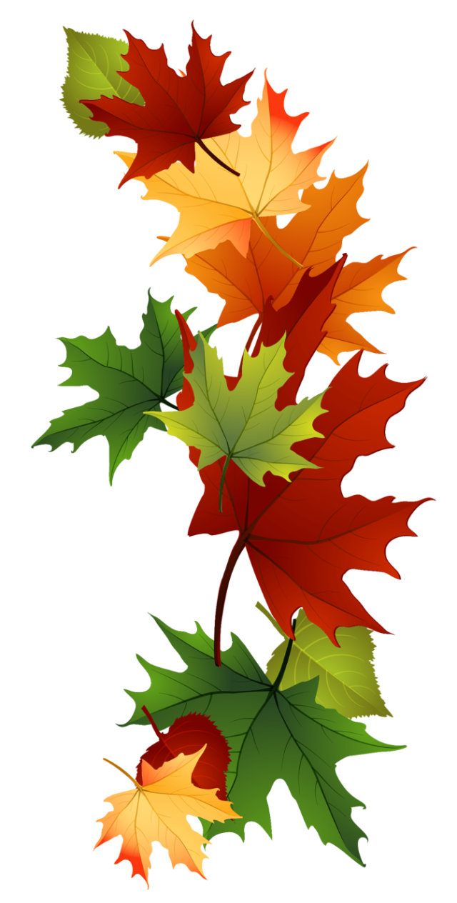 Free clip fall leaf, Download Free clip fall leaf png images, Free ...