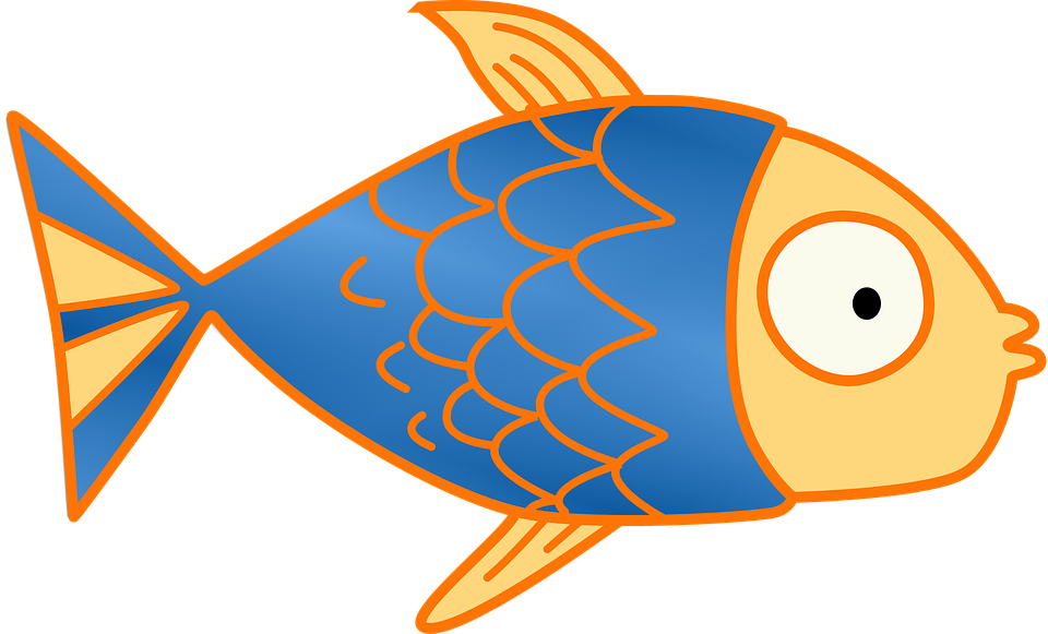 Free clip fish free, Download Free clip fish free png images, Free ...